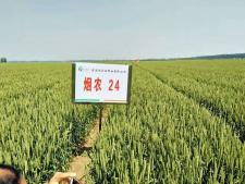 信宜佳種業(yè)