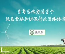 創(chuàng)新碳排放核算新方法 青島落地全國(guó)首個(gè)綠色金融和擔(dān)保行業(yè)團(tuán)體標(biāo)準(zhǔn)