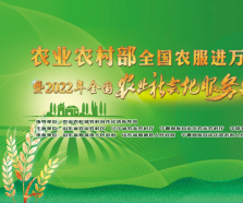 一線傳真 | 全國(guó)農(nóng)服進(jìn)萬家系列活動(dòng)走進(jìn)青島膠州市